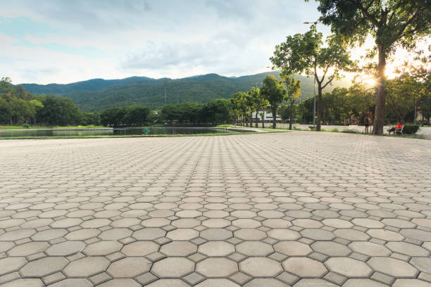 Best Driveway Paver Repair  in Tellico Plains, TN